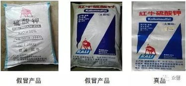 錦旗贈(zèng) 衛(wèi)士